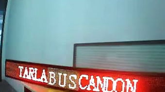 飛龍電子 點亮商業空間的藝術——為燈箱廠量身打造的電子霓虹燈案例賞析